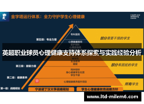 英超职业球员心理健康支持体系探索与实践经验分析