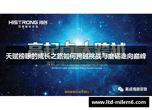 天赋榜眼的成长之路如何跨越挑战与磨砺走向巅峰
