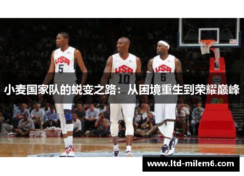 小麦国家队的蜕变之路：从困境重生到荣耀巅峰