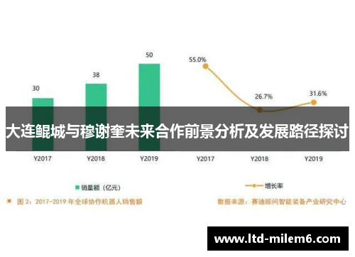 大连鲲城与穆谢奎未来合作前景分析及发展路径探讨