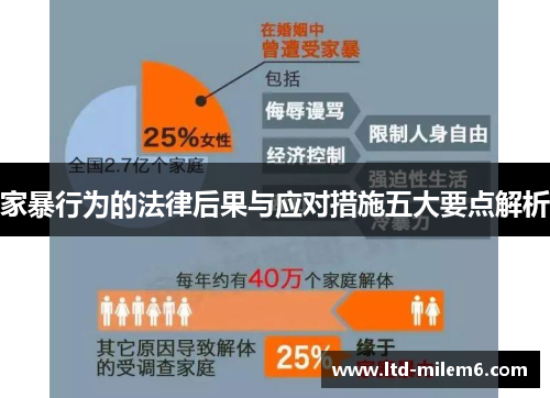 家暴行为的法律后果与应对措施五大要点解析
