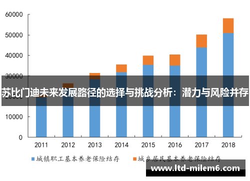 苏比门迪未来发展路径的选择与挑战分析：潜力与风险并存