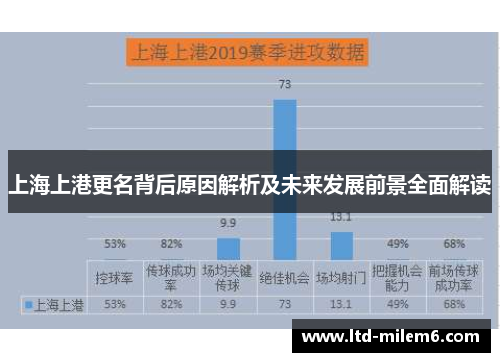 上海上港更名背后原因解析及未来发展前景全面解读