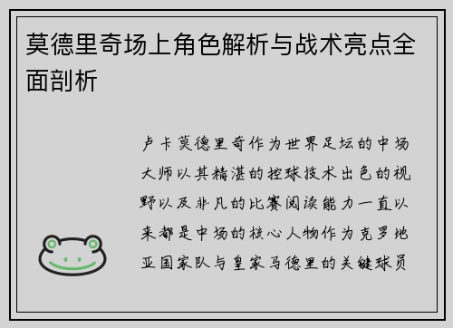 莫德里奇场上角色解析与战术亮点全面剖析