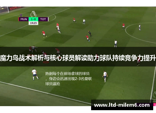 魔力鸟战术解析与核心球员解读助力球队持续竞争力提升