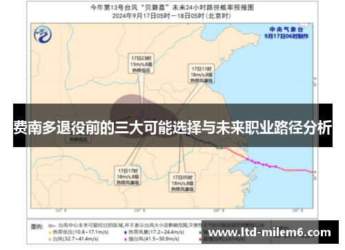 费南多退役前的三大可能选择与未来职业路径分析 费南多退役前的三大可能选择与未来职业路径分析