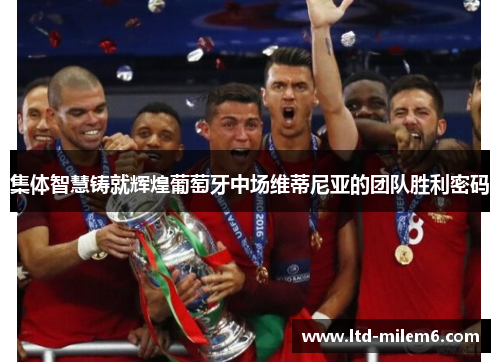 集体智慧铸就辉煌葡萄牙中场维蒂尼亚的团队胜利密码